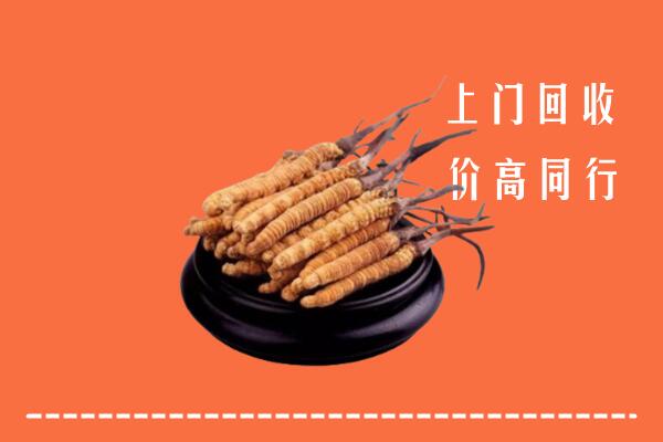 潍坊诸城回收散虫草