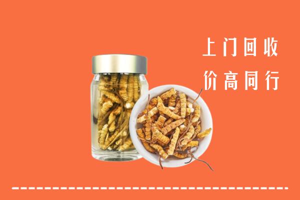 潍坊诸城回收冬虫夏草