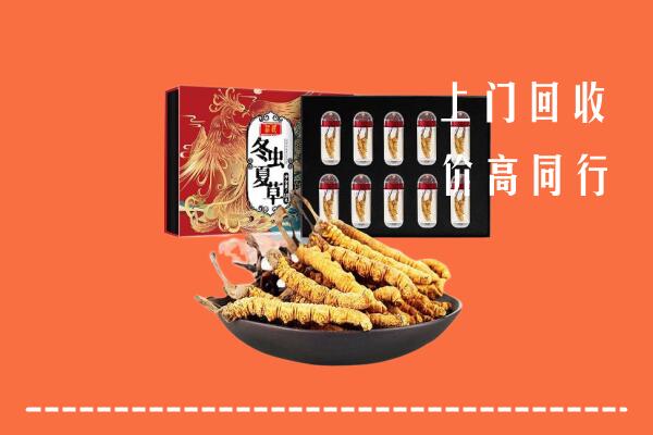 潍坊诸城回收虫草
